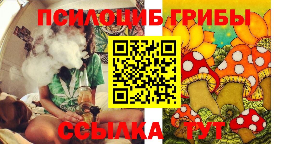 где продают наркотики  Вход с VPN  Дедовск  Галлюциногенные грибы Psilocybe 